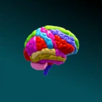 brain and nervous system 3d android application logo